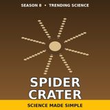 Australia's Spider Crater: A Giant Spider Seen from Space | Science Made Simple