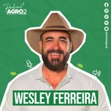 Como a irrigação pode transformar seu jardim? #405