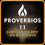 Proverbios 11 — El Peso Falso y la Balanza Justa | Biblia en Audio (RV 1909)