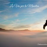 ✨ Il Messaggio dell'Aquila ✨
