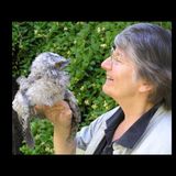 Talking magpies, grieving tawny frogmouths and canny galahs