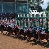 OAKLAWN PARK R9 (DIXIE BELLE STAKES) FOR 2/19