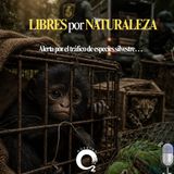 NUESTRO OXÍGENO Libres por naturaleza, alerta por el tráfico de seres silvestres