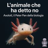 🎙️ Fuori Scala #09 - L'axolotl che disse no