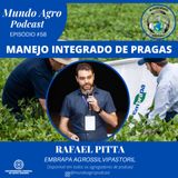 #58 MAP MANEJO INTEGRADO DE PRAGAS COM DR. RAFAEL PITTA EMBRAPA