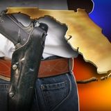 Florida's 'Stand Your Ground' Law Sparked Controversy... Again +