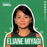 Mais lucro, menos espaço: como lucrar com ovinocultura? #409