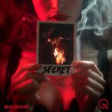 Secret - Privacy versus Secrets