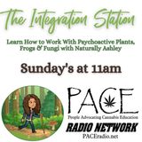 The Integration Station EP23 All Things Magical About Mushrooms w keegan (Mindfulmeds)