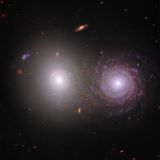 Explaining why galaxies hang out with their own kind