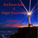 Surviving the Flu with Herbs with Herbal Prepper Live on PBN