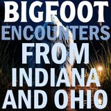 BIGFOOT ENCOUNTERS FROM INDIANA AND OHIO | IT WAS PULLING CATTAILS OUT OF THE POND!!!