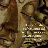 Tu ignorancia te hace sufrir y a los demás - Humanauta སྲི་རམ།