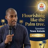Flourishing Like the Palm Tree