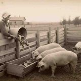 The Dark History of Brenner Farm – A Macabre Tale