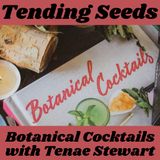 Ep 57 - Botanical Cocktails with Tenae Stewart