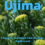 5 Reasons You Should Take Rhodiola (Golden Root)