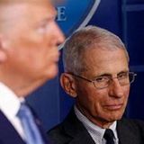 WNR:  Breaking News Trump About To Fire #DrFauci Over Pandemic