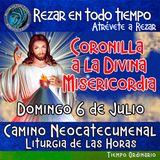 CORONILLA A LA DIVINA MISERICORDIA DE HOY. DOMINGO 6 DE JULIO 2025. 🙏 REZAR EN TODO TIEMPO.           