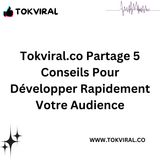 TokViral.co partage 5 conseils pour développer rapidement votre audience