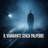 Il Viandante Senza Palpebre – La Presenza che Non Dorme Mai