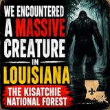CRYPTID CREATURE ENCOUNTERS FROM THE SOUTH | THE KISATCHIE NATIONAL FOREST IN LOUISIANA