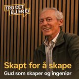 Gud som skaper og ingeniør – Steinar Thorvaldsen
