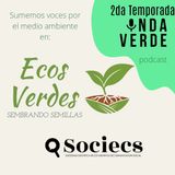 Onda Verde T2 / Ecos Verdes - Ep. 04: Semillas Nativas y su Conservación
