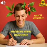 Necesitas CONCENTRARTE dos PLANTAS  que te ayudaran