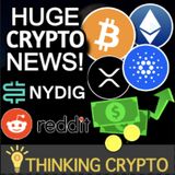 HUGE Crypto On Ramp For Banks Via NYDIG - Bitcoin Futures ETF Problems - Reddit NFT Platform