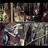 A SUICIDE FOREST? Aokigahara, Japan's suicide forest with guest Jason Quitt.