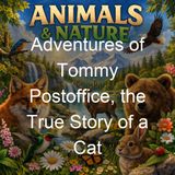 Adventures of Tommy Postoffice the True Story of a Cat - Gabrielle E Jackson