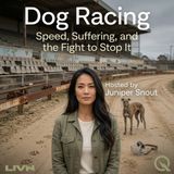 Dog Racing - The Body Count Nobody Talks About