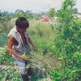 Jóvenes rurales: compartiendo el territorio con la coca