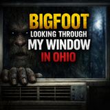 BIGFOOT PEERING THROUGH MY WINDOW IN OHIO | CRACKED FINGERNAILS AND BLACK EYES