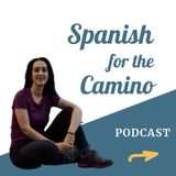 Spanish for the Camino: Los otros Santiagos - Santiago de Chile 🇨🇱 ( Guest Episode)