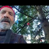 A Trip around the Chip!