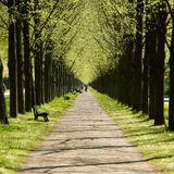 P38 De noodzaak van Eenheid