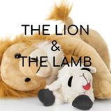 The Lion & the Lamb - Morning Manna #2850