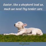 Episode 67: "Savior, Like a Shepherd Lead Us"