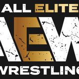 AEW Recap and Punk Fight Review 4/18/24