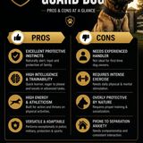 Pros and Cons of Owning a Belgian Malinois Guard Dog for Sale