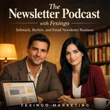 The Substack Millionaire Myth Is Crumbling — Fexingo Business