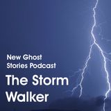 11 - The Storm Walker