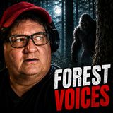 MYSTERIOUS FOREST VOICES STALK WITNESS IN BRADFORD, PENNSYLVANIA