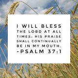 Praise Your Way Through!