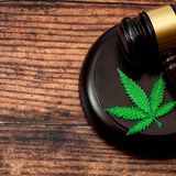 Know the Marijuana Rules in Houston, Texas