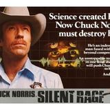 Talking Terror: Chuck Norris and his Silent Rage