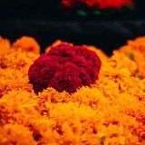 The Mesoamerican origin of the cult of the dead: predecessor of the Day of the Dead