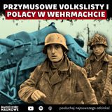 #308 Czy Ślązacy zdradzili Polskę? Dziadkowie w Wehrmachcie, Volkslista i powojnie | prof. Ryszard Kaczmarek